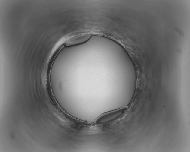 X0000112480056200908311419