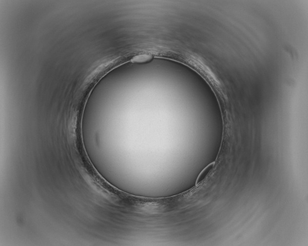 X0000112480058200908311419