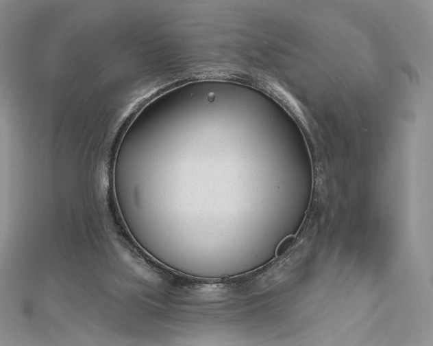 X0000112480059200908311419