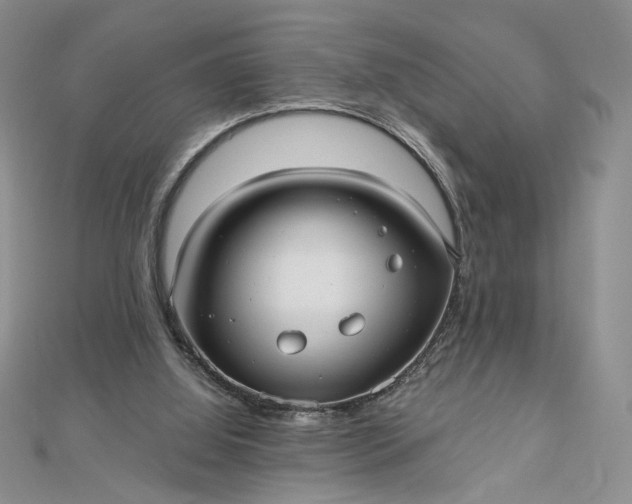 X0000112480060200908311419