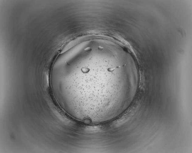 X0000112480061200908311419