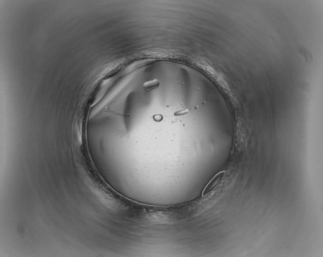 X0000112480062200908311419