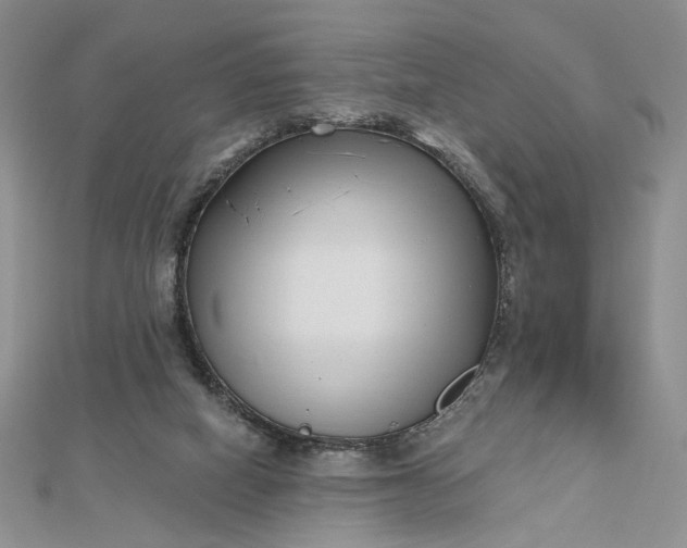 X0000112480066200908311419