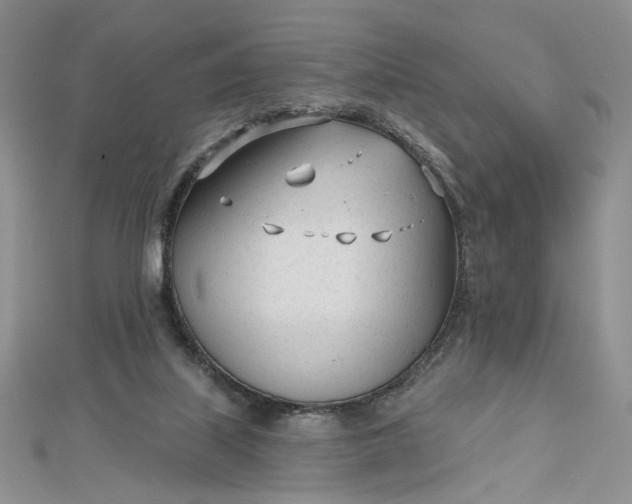 X0000112480067200908311419