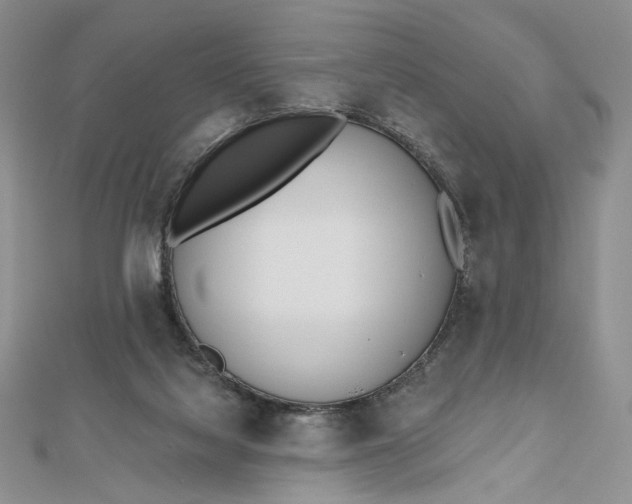 X0000112480068200908311419