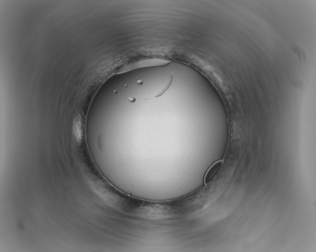 X0000112480069200908311420