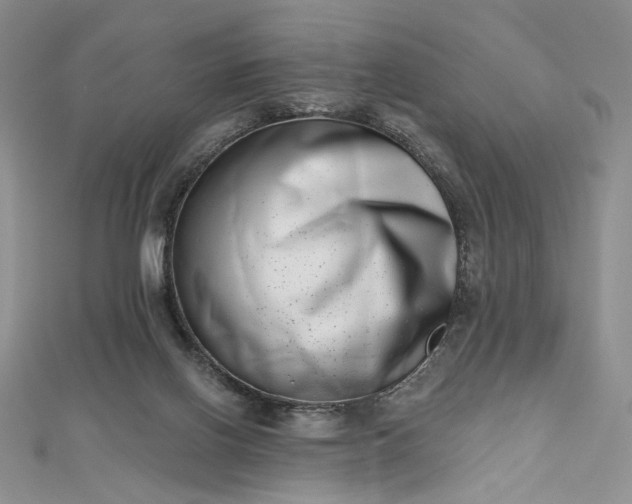 X0000112480070200908311420