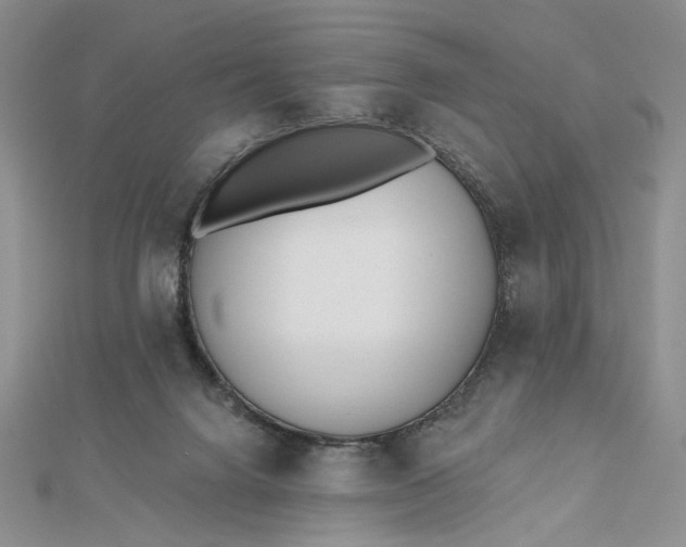 X0000112480072200908311420