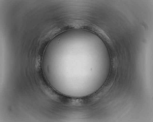 X0000112480073200908311420