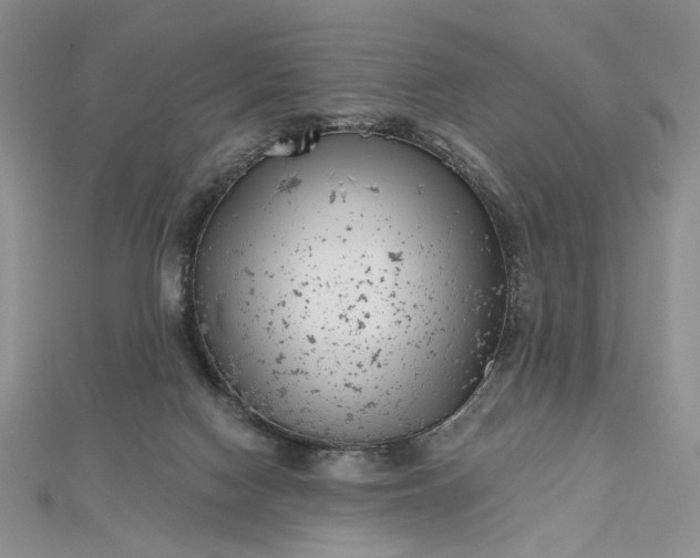 X0000112480074200908311420