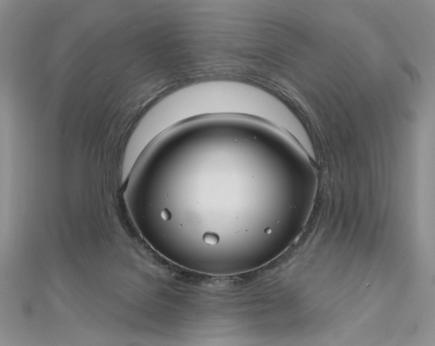 X0000112480076200908311420