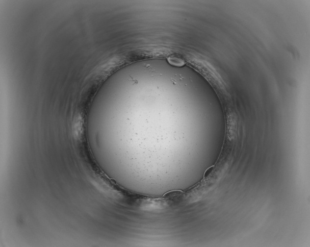 X0000112480077200908311420