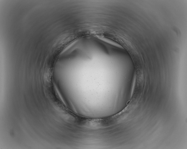 X0000112480078200908311420