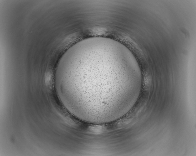 X0000112480079200908311420