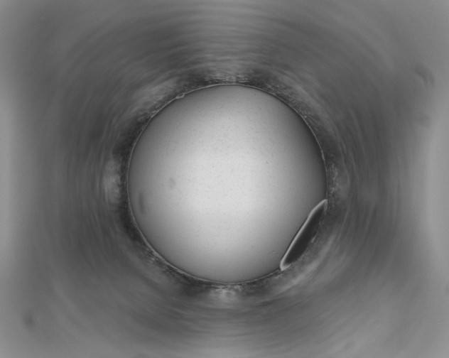 X0000112480080200908311420