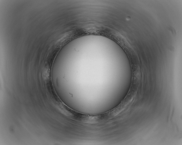 X0000112480081200908311420