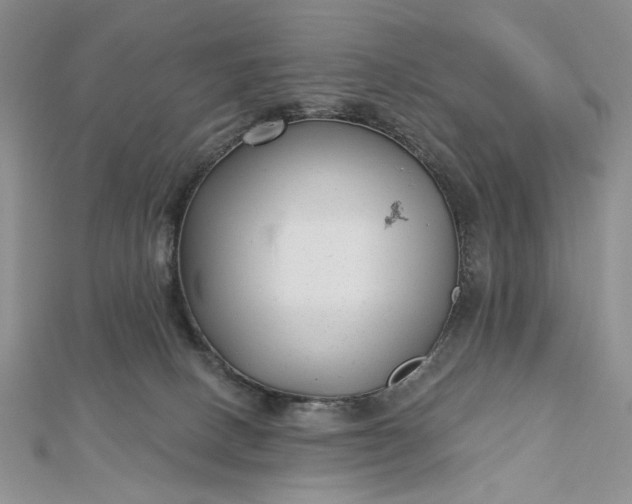 X0000112480082200908311420