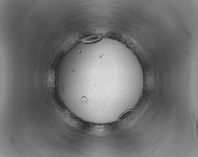 X0000112480083200908311420