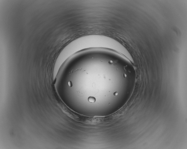 X0000112480084200908311420