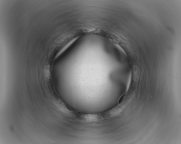 X0000112480085200908311420