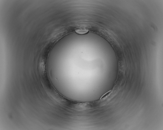 X0000112480086200908311420