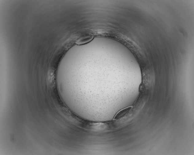 X0000112480087200908311420