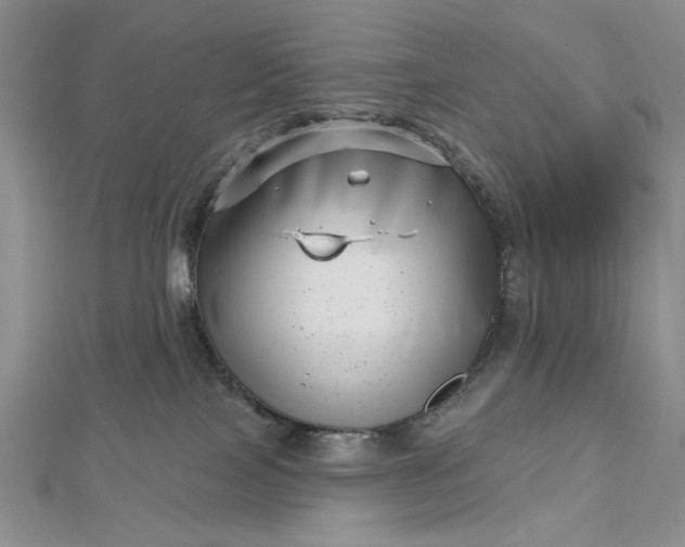 X0000112480089200908311420