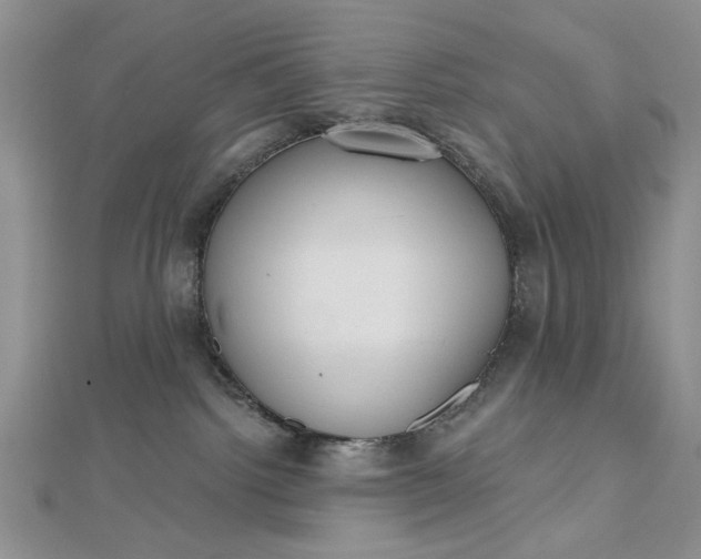 X0000112480092200908311420