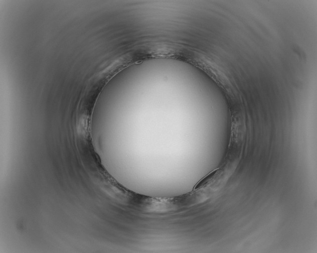 X0000112480093200908311420