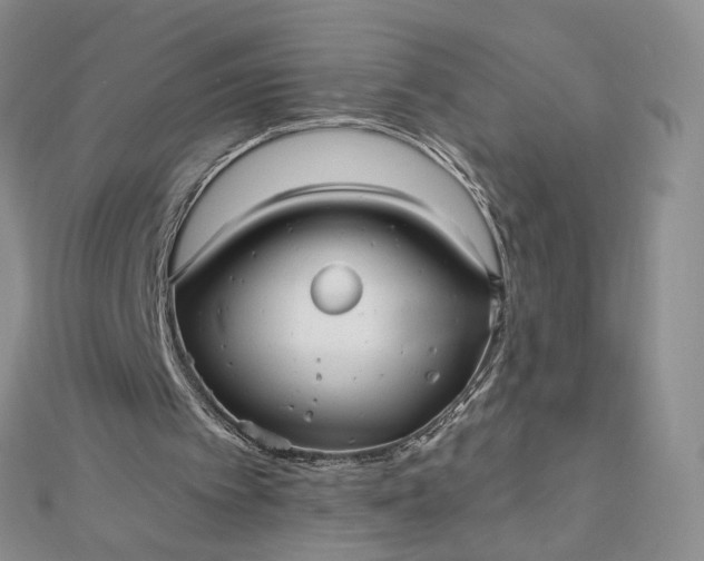 X0000112480097200908311419