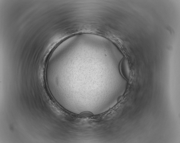 X0000112480098200908311419