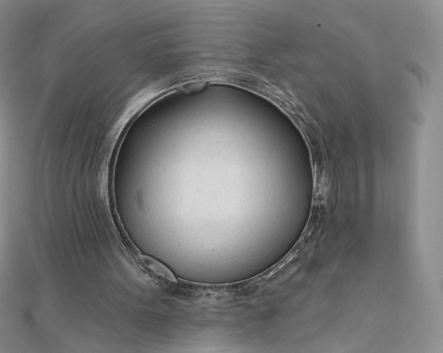 X0000112480099200908311419