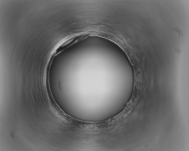 X0000112480100200908311419