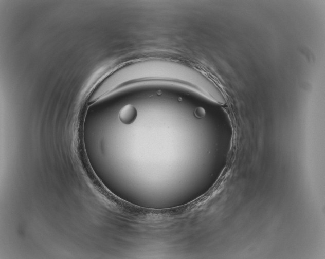 X0000112480101200908311419