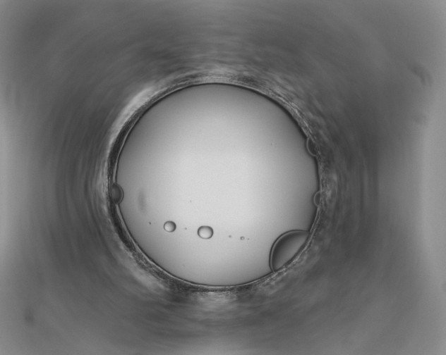 X0000112480102200908311419