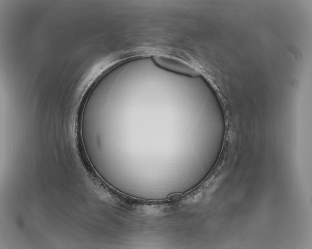 X0000112480103200908311419