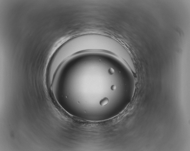 X0000112480104200908311419