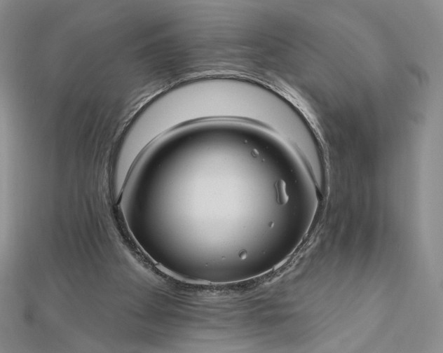 X0000112480105200908311419