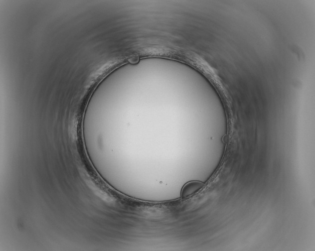 X0000112480106200908311419