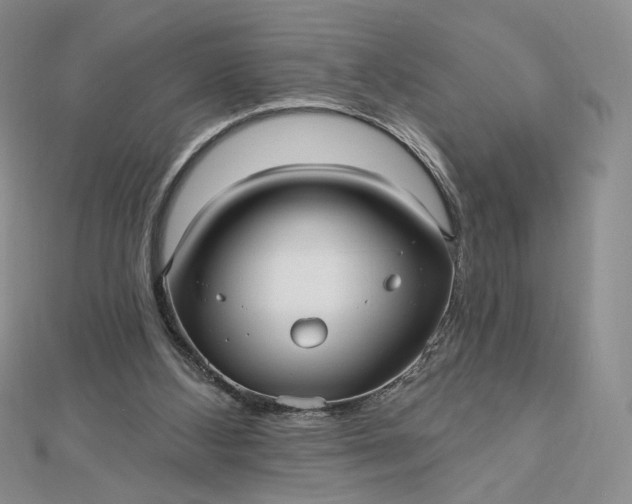 X0000112480108200908311419