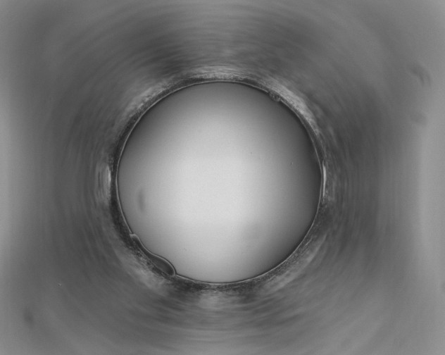 X0000112480109200908311419