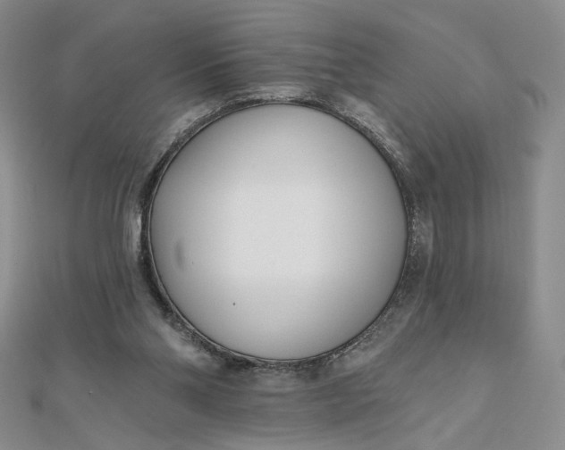 X0000112480110200908311419