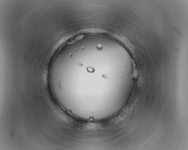 X0000112480111200908311419