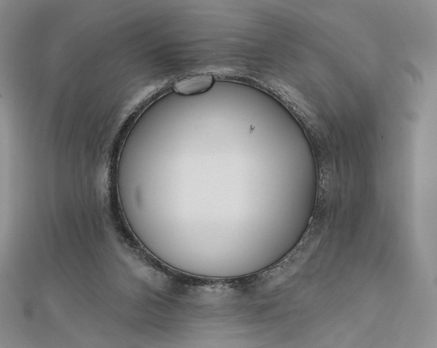 X0000112480112200908311419