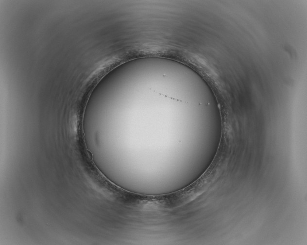 X0000112480115200908311419