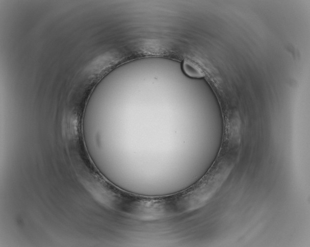 X0000112480117200908311419