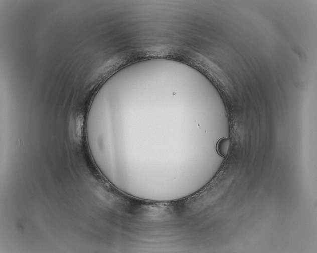 X0000112480118200908311419