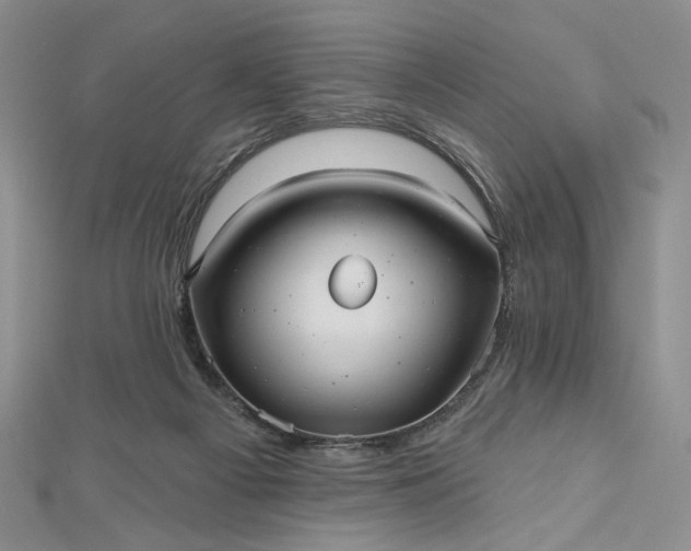 X0000112480121200908311419