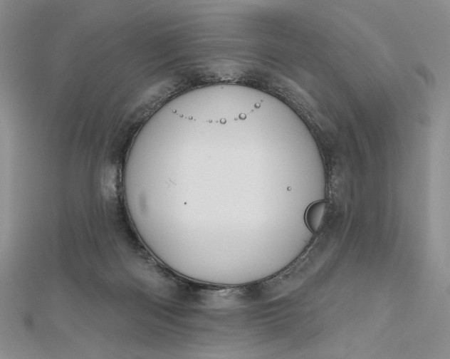 X0000112480122200908311419