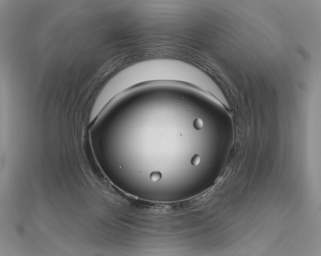 X0000112480124200908311419